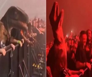 छैया-छैया… पर ‘डायनासोर’ का डांस देखा क्या? वायरल Video देख लोग शॉक्ड, बोले- आज भी वाइब है