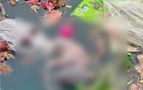 अरपा नदी में मिला नवजात शिशु का शव, इलाके में मची सनसनी