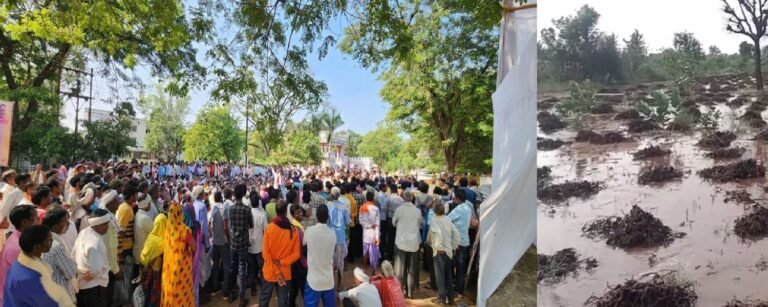 बे-मौसम बारिश ने फसलों को किया बर्बाद, किसानों ने कलेक्ट्रेट पहुंचकर मुआवजे और बीमा की मांग की