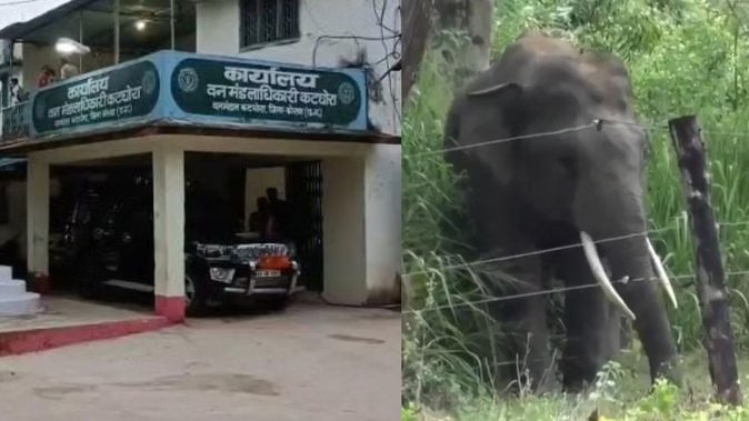 कोरबा में हाथियों का कहर… महिला की कुचलकर मौत, एक हफ्ते में तीन लोगों की गई जान