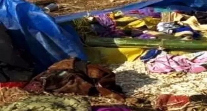 हाथी के हमले से 40 दिन के नवजात की दर्दनाक मौत, परिवार में मचा हड़कंप