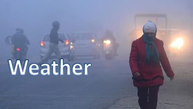 CG Weather Alert: छत्तीसगढ़ के इन जिलों में घने कोहरे का कहर, अगले 3 दिन बदलेगा मौसम