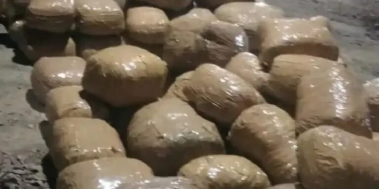 नशा रोकने बड़ी कार्रवाई: 2 तस्करों के साथ 4.75 करोड़ का गांजा बरामद