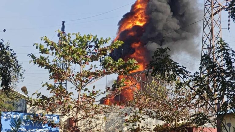 बिलासपुर: मोपका स्थित बिजली सब स्टेशन में भीषण आग, फायर ब्रिगेड आग पर काबू पाने में जुटी