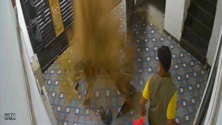 घर की बोरिंग फटी, इलाके में अफरा-तफरी… बिलासपुर में बड़ा हादसा टला