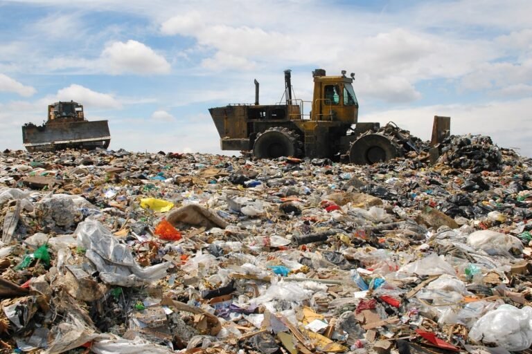 CG में 1 अप्रैल से सख्त नियम: शादी-पार्टी में 100 मेहमान पर 3 दिन पहले देनी होगी सूचना, वरना लगेगा जुर्माना