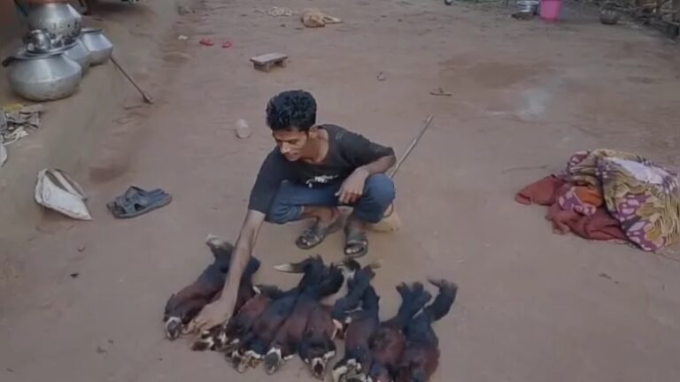 रील ने पहुंचाया सलाखों के पीछे: 9 विशाल गिलहरियों का शिकार, सोशल मीडिया बना सबूत