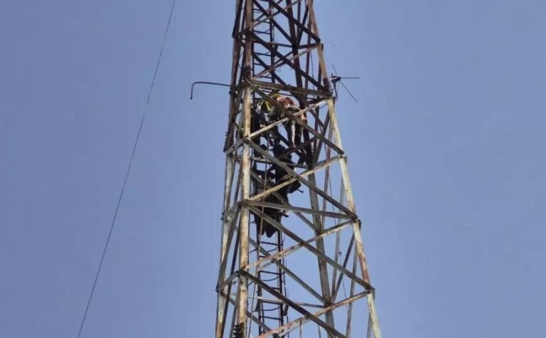 मोबाइल टावर पर युवती ने लगाई फांसी, घटना से पहले फोन में देख रही थी वीडियो