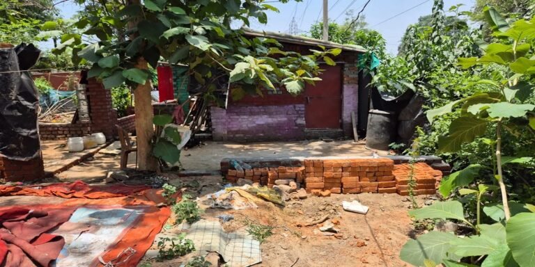 कोरबा में ग्रीन जोन पर अवैध कब्जा! निगम कर्मचारी की मिलीभगत के आरोप से मचा हड़कंप