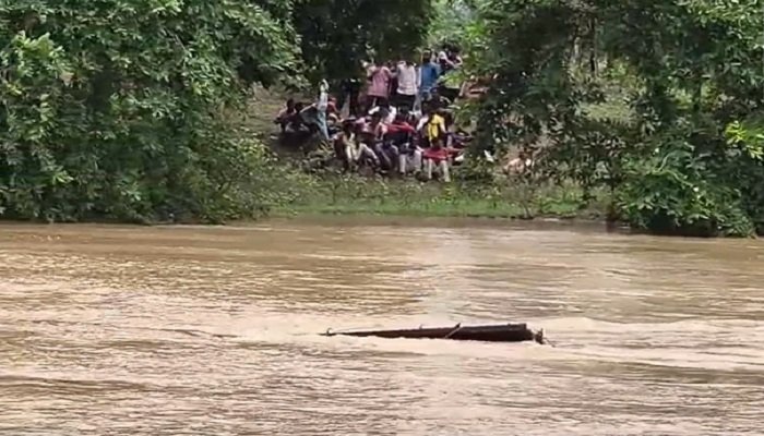 बारिश बनी काल! उफनते नाले में बही बिजली विभाग की पिकअप, सुधार कार्य पर जा रहे कर्मचारी हादसे का शिकार