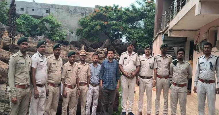Korba News: 8-10 लाख की साल लकड़ी की अवैध हेराफेरी का खुलासा, वन विभाग ने आरा मिल सील कर आरोपी को दबोचा