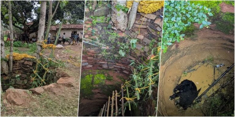 कोरबा: 25 फीट गहरे कुएं में गिरा भालू, जेसीबी और बांस की सीढ़ी से घंटों बाद हुआ सुरक्षित रेस्क्यू