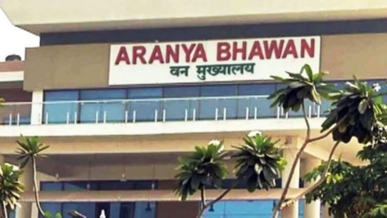 छत्तीसगढ़ में प्रशिक्षु IFS अधिकारियों का ट्रांसफर, पहली फील्ड पोस्टिंग में मिली अहम जिम्मेदारी