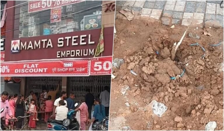 कोरबा में ‘एक पेड़ मां के नाम’ अभियान को नुकसान पहुंचाना पड़ा भारी, पौधा काटने पर दुकान संचालक और कर्मचारी पर पुलिस कार्रवाई