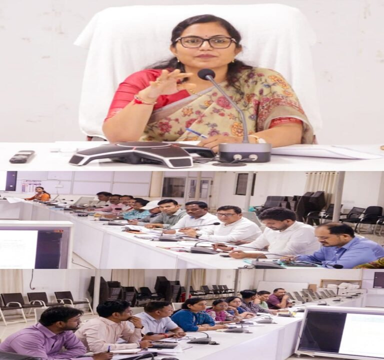 कलेक्टर जयश्री जैन ने ली राजस्व अधिकारियों की समीक्षा बैठक, लंबित प्रकरणों के त्वरित निराकरण के दिए निर्देश